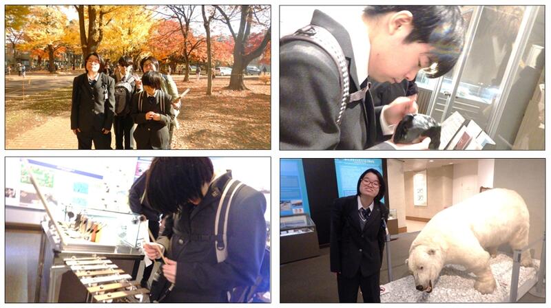 １年２組北大博物館